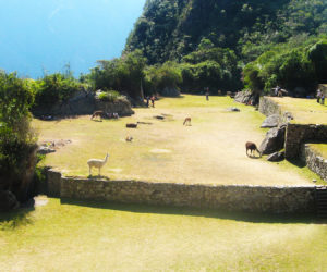 machupicchu