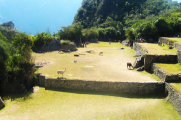 machupicchu