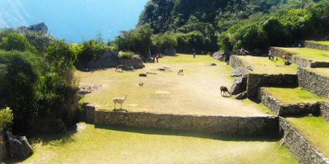 machupicchu