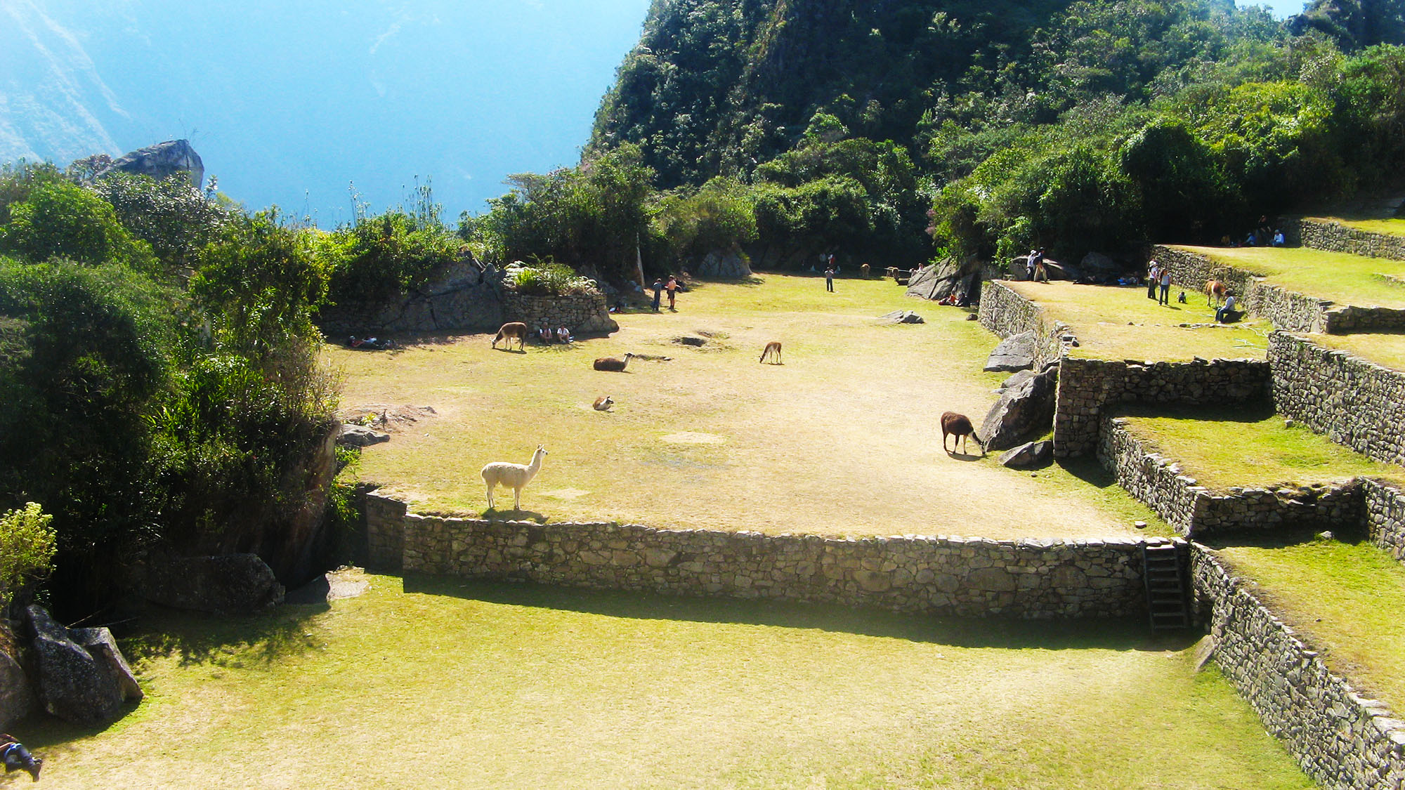 Da Puno a Cuzco