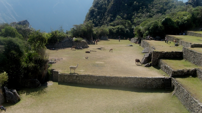 machupicchu