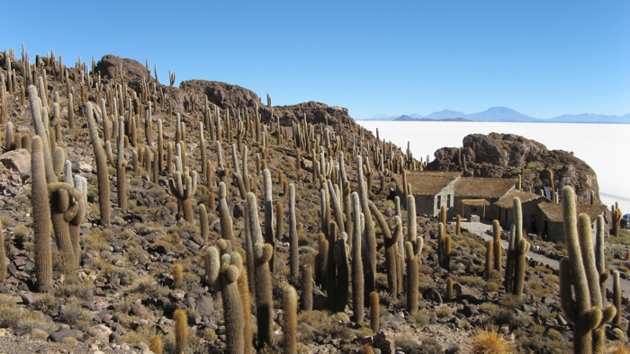 uyuni - salar