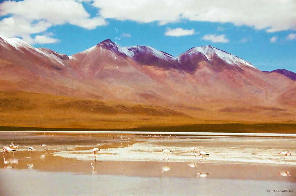 Laguna Hedionda - Bolivia