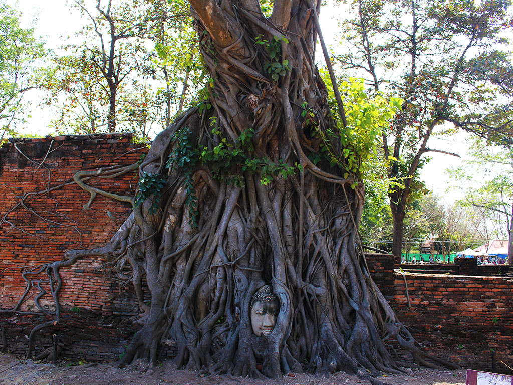 Ayutthaya