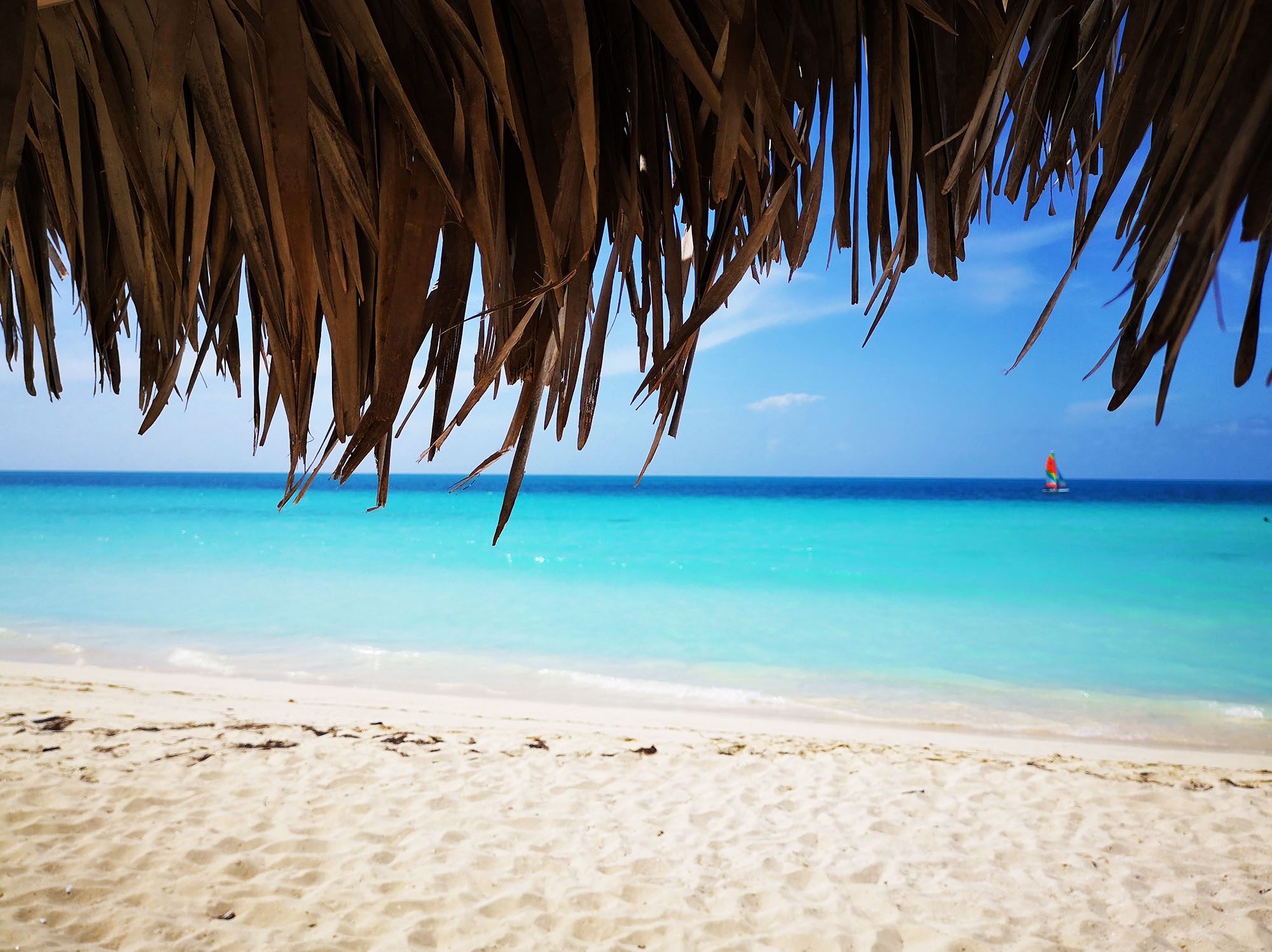 Cayo Santamaria - Cuba