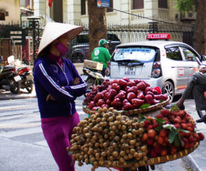 hanoi-vt