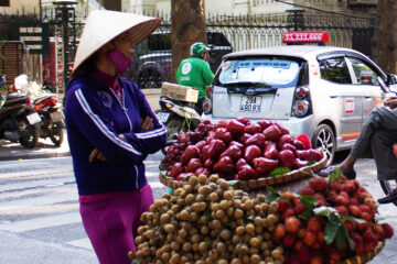 hanoi-vt