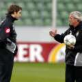 tudor-lippi